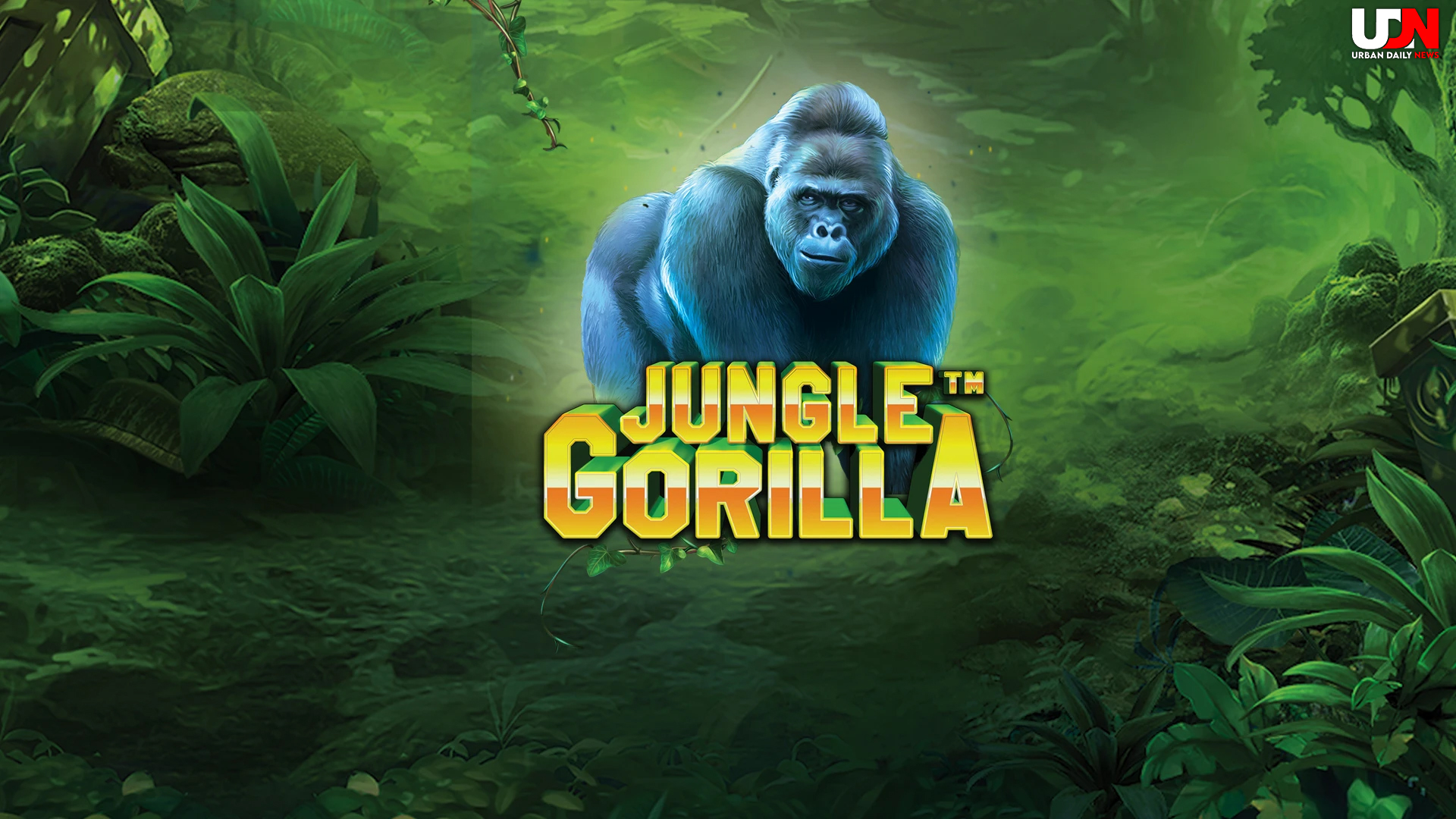 Jungle Gorilla: Saat Alam Liar Memberikan Kekayaan Tak Terduga