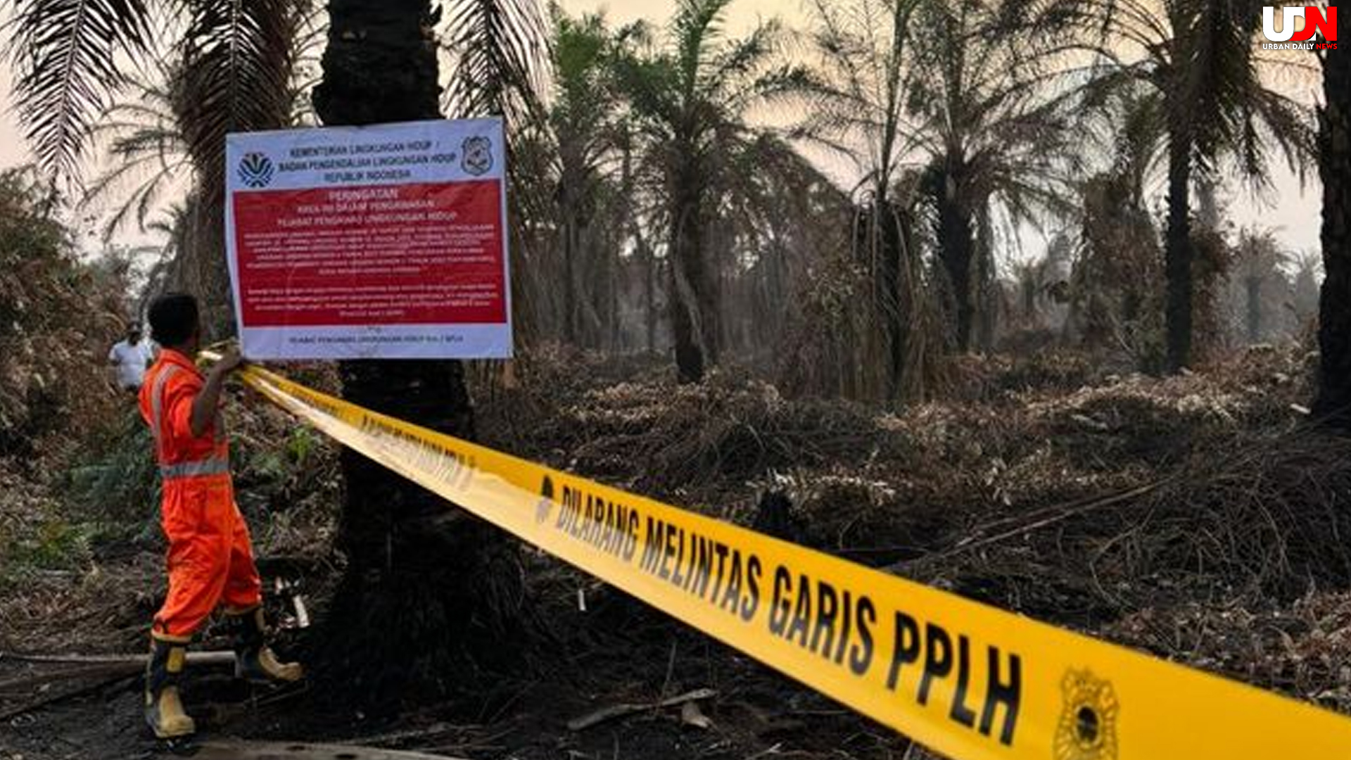 KLH Riau Segel 4 Perusahaan, Tutup Pabrik Sawit Lawan Karhutla
