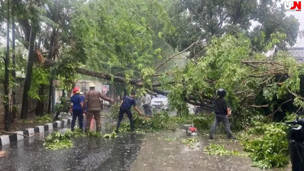 Ketika Tebet Terhenti oleh Pohon Tumbang: Refleksi & Dampaknya