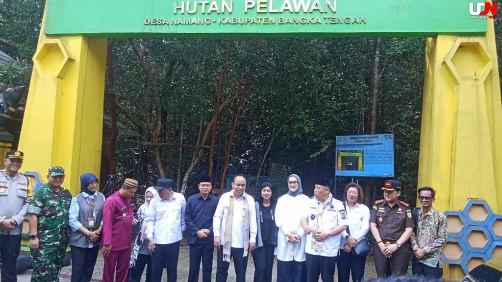 Hutan Pelawan, Sarang Madu Langka & Jamur Rp 35 Juta/Kilo