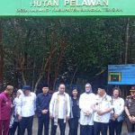 Hutan Pelawan, Sarang Madu Langka & Jamur Rp 35 Juta/Kilo