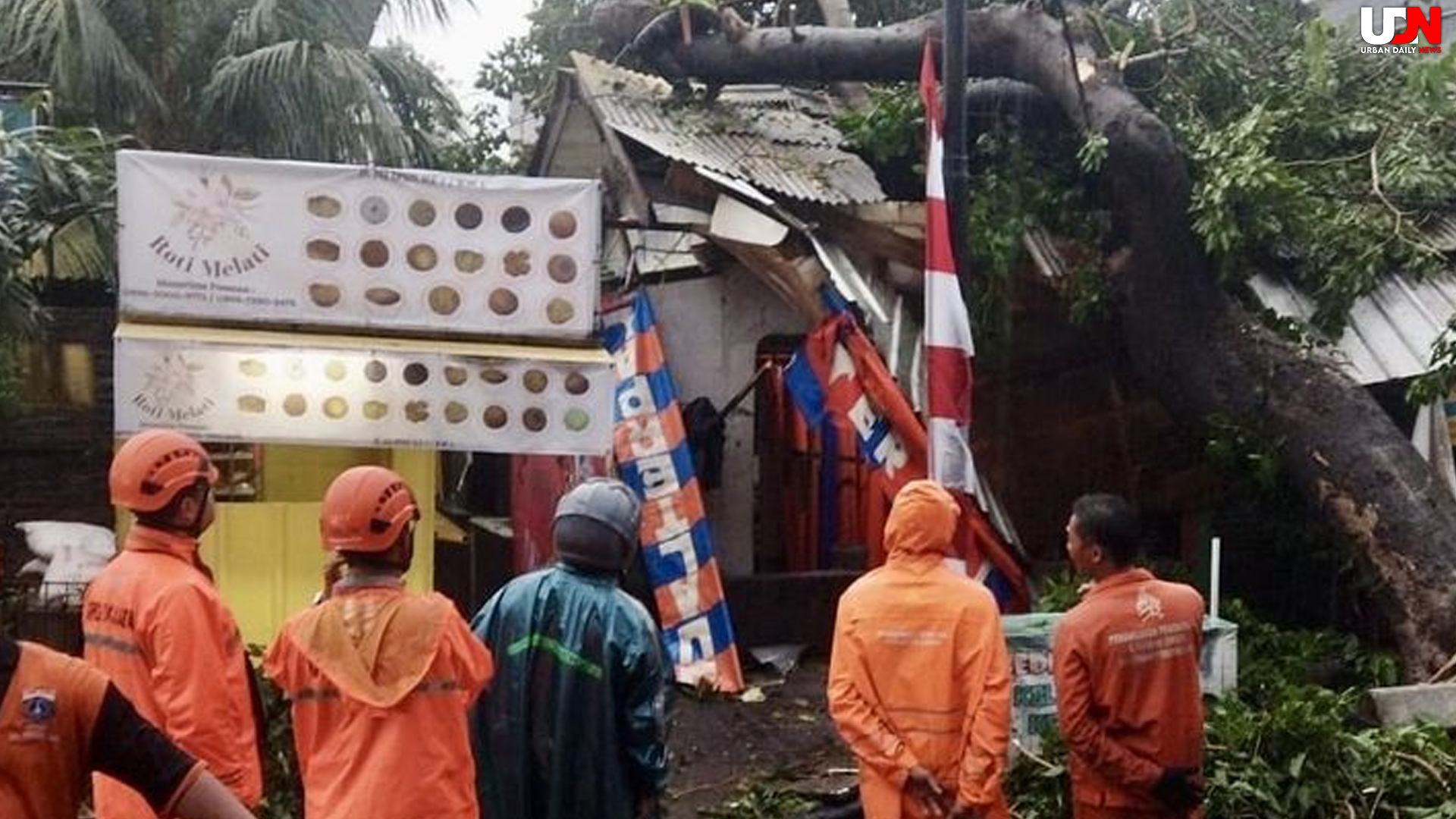 Hujan & Angin Kencang Rusak Jakarta Timur, 7 Pohon Tumbang