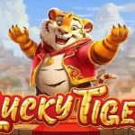 5 Kesalahan Pemain Lucky Tiger yang Sering Terjadi Saat Main