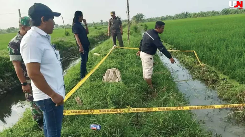 Jebakan Tikus di Sawah Indramayu Sebabkan 2 Korban Jiwa Seketika