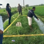 Jebakan Tikus di Sawah Indramayu Sebabkan 2 Korban Jiwa Seketika