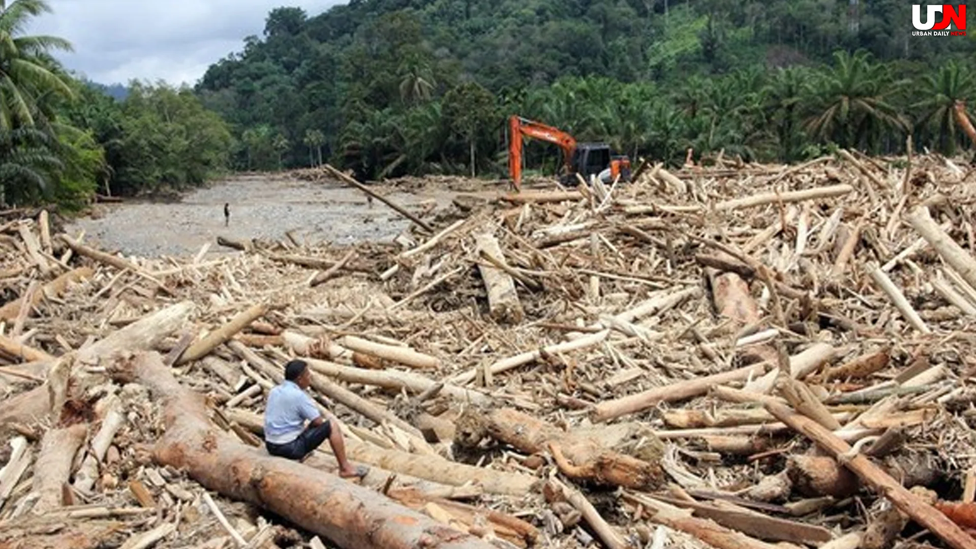 Viral Kayu Banjir Sumatera: 5 WALHI: Bukan Hujan, Tapi Deforestasi Gila