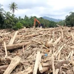 Viral Kayu Banjir Sumatera: 5 WALHI: Bukan Hujan, Tapi Deforestasi Gila