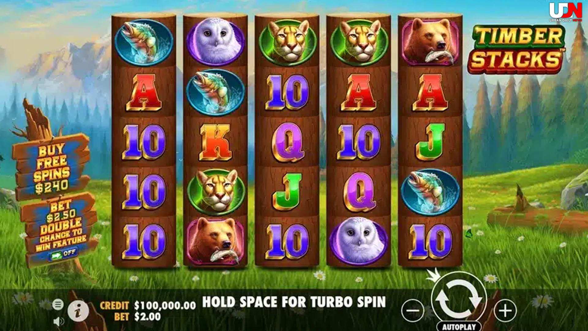 Ada 4 Kesalahan Fatal yang Bikin Runtuh Cepat di Timber Stacks