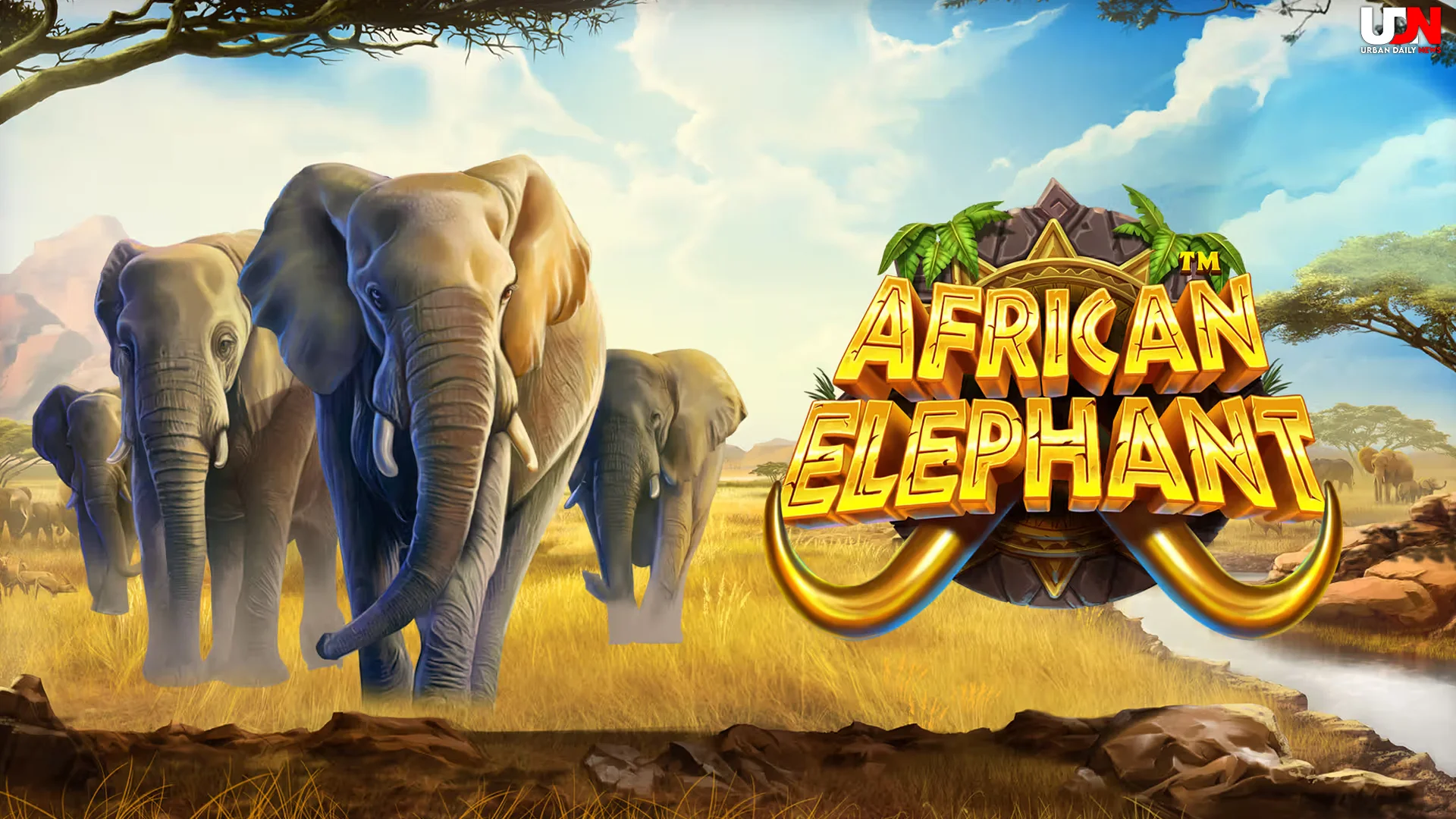 Auto Betah! 4 Mode Eksplorasi Magic di African Elephant Buat Healing