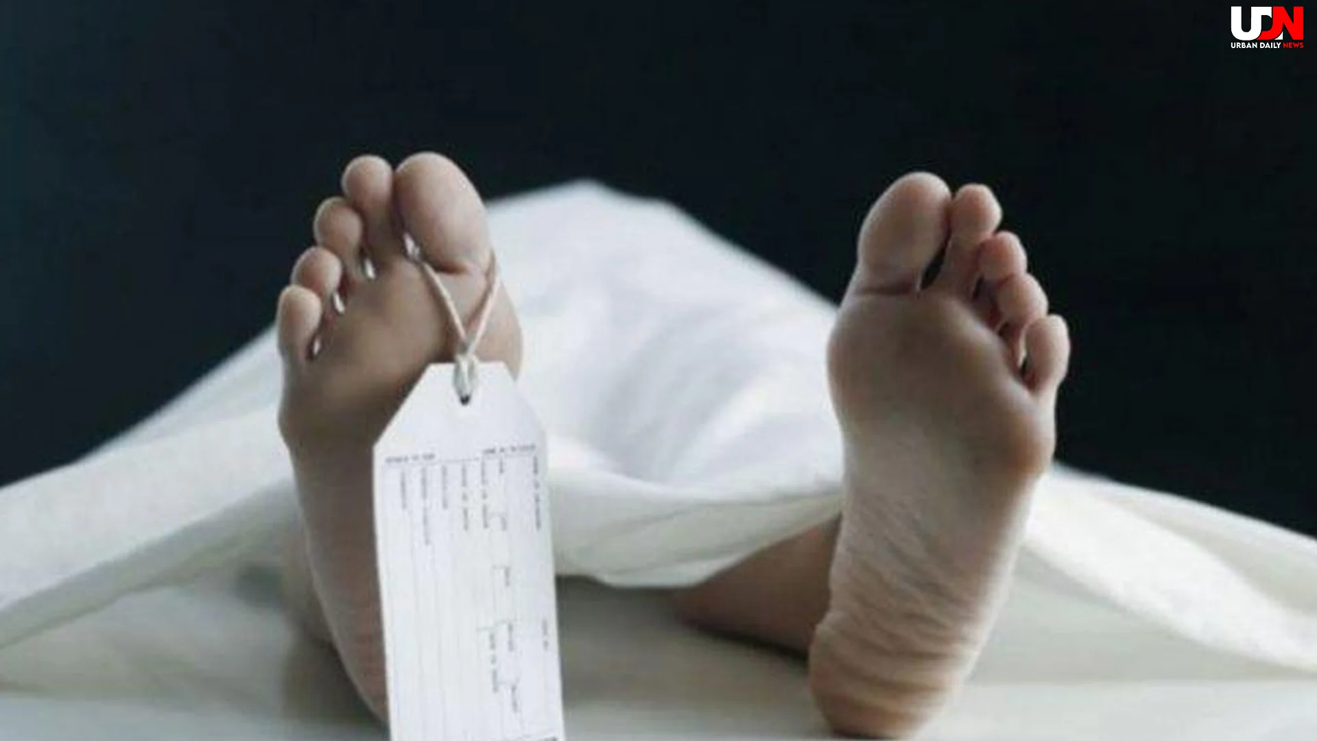 Warga Sulut Tewas usai Santap Kepiting 2 Piring Diduga Racun Brutal