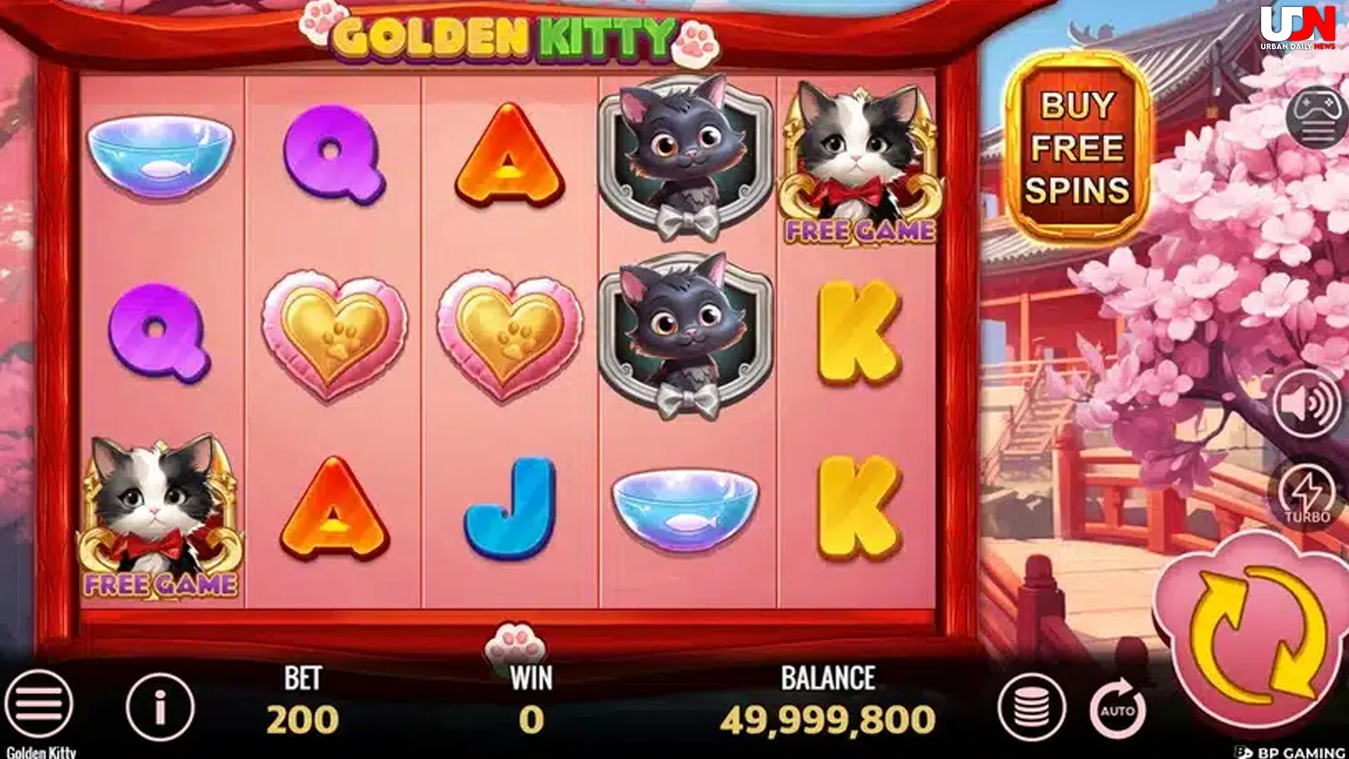 Golden Kitty Dengan 5 Feature Paling Magic Gila Banget