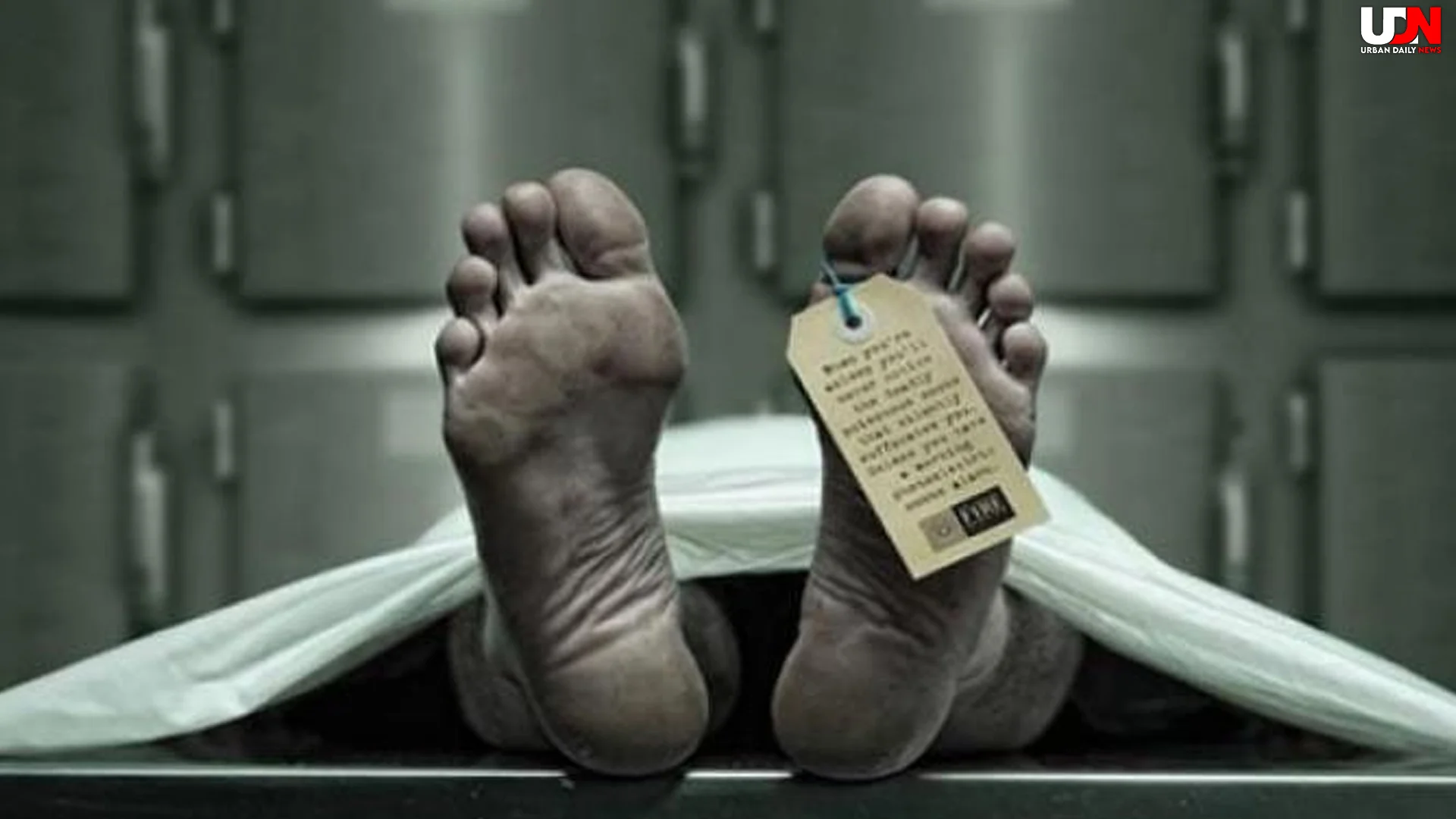 Warga Sulut Tewas usai Santap Kepiting 2 Piring Diduga Racun Brutal